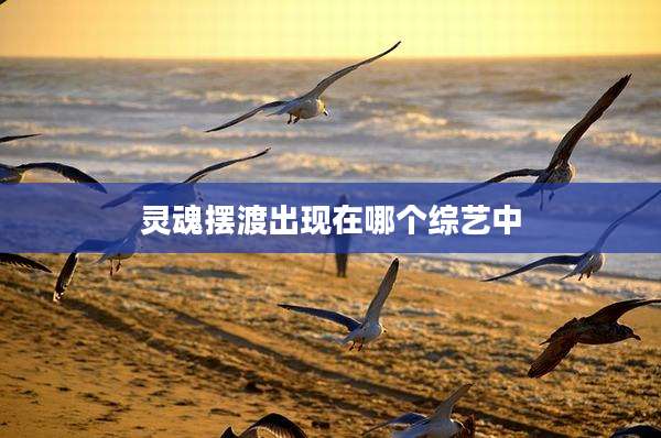 灵魂摆渡出现在哪个综艺中