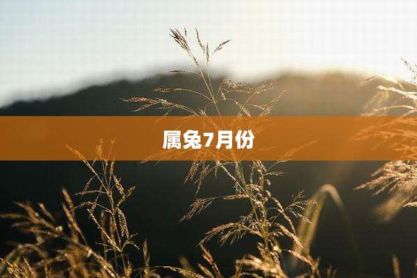 属兔7月份