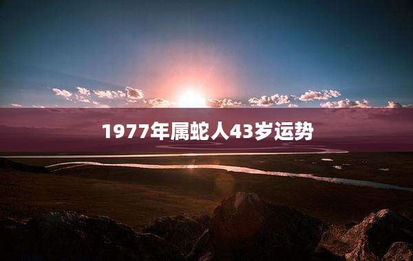 1977年属蛇人43岁运势