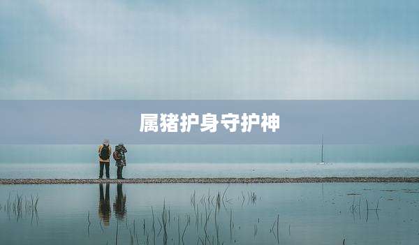 属猪护身守护神