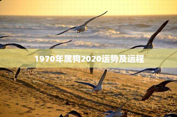 1970年属狗2020运势及运程