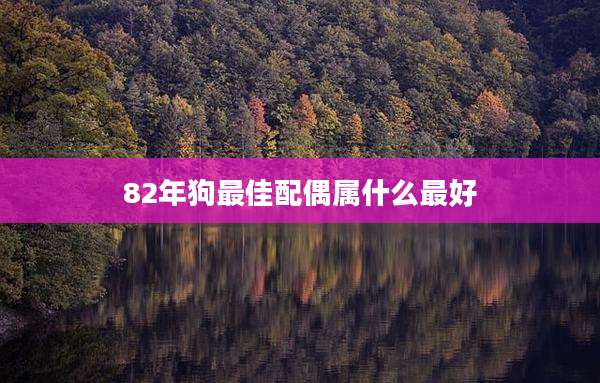 82年狗最佳配偶属什么最好