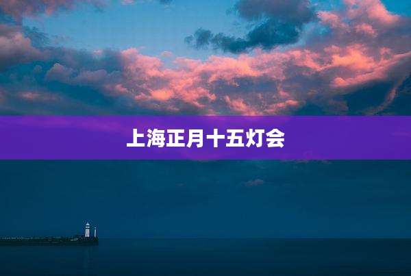 上海正月十五灯会
