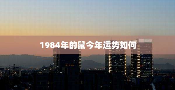 1984年的鼠今年运势如何
