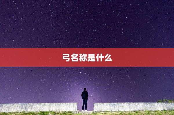 弓名称是什么