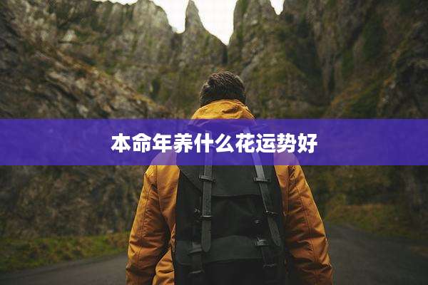本命年养什么花运势好