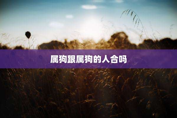 属狗跟属狗的人合吗