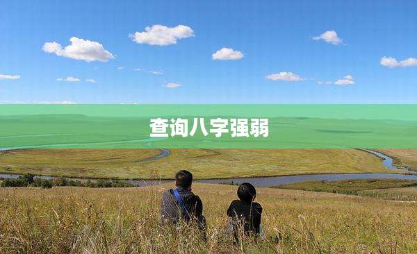查询八字强弱