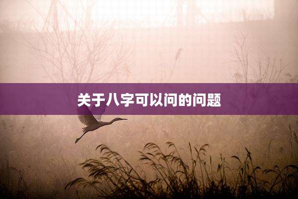 关于八字可以问的问题