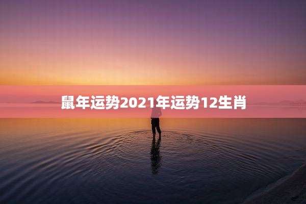 鼠年运势2021年运势12生肖