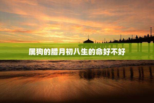 属狗的腊月初八生的命好不好