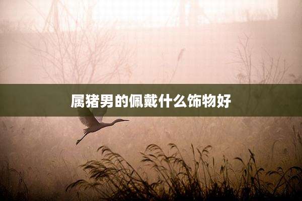 属猪男的佩戴什么饰物好