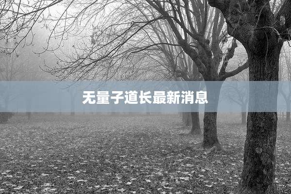 无量子道长最新消息