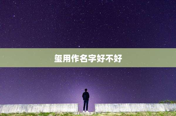 玺用作名字好不好