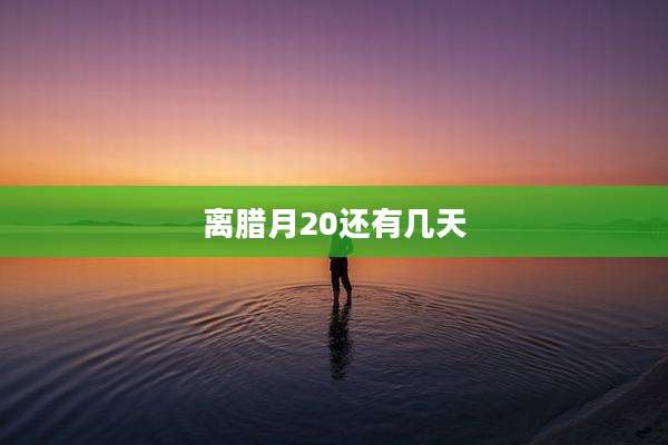 离腊月20还有几天