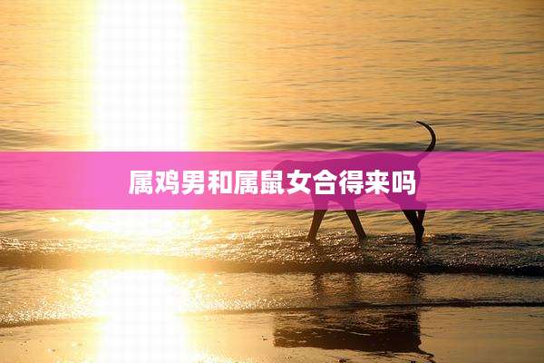 属鸡男和属鼠女合得来吗
