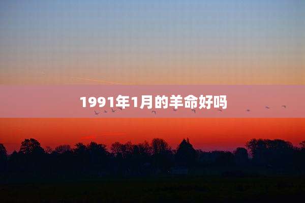 1991年1月的羊命好吗