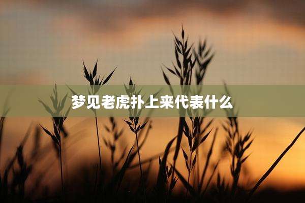 梦见老虎扑上来代表什么