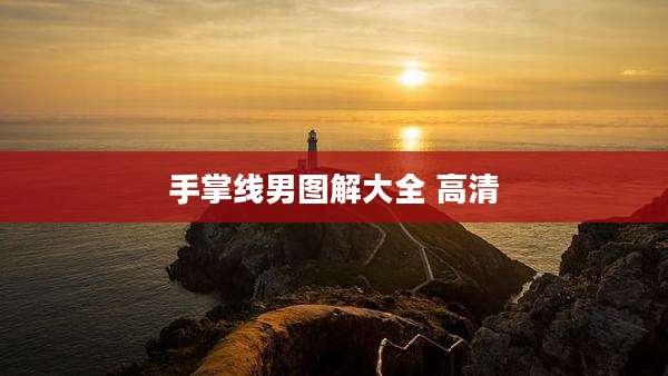 手掌线男图解大全 高清