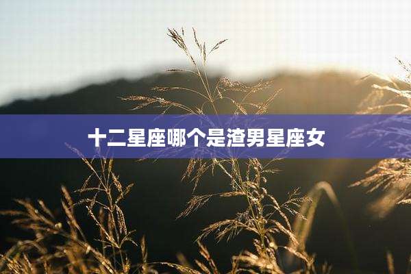 十二星座哪个是渣男星座女