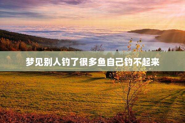 梦见别人钓了很多鱼自己钓不起来