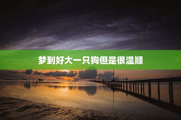 梦到好大一只狗但是很温顺