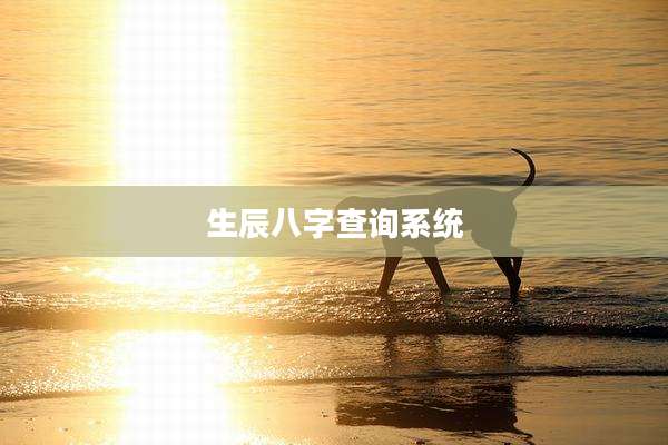 生辰八字查询系统