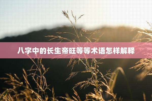 八字中的长生帝旺等等术语怎样解释
