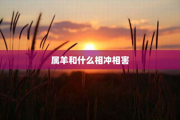 属羊和什么相冲相害