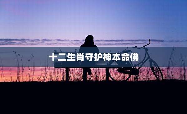 十二生肖守护神本命佛