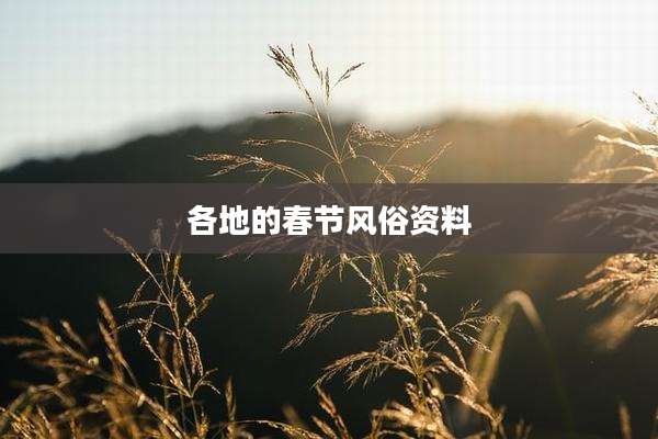 各地的春节风俗资料