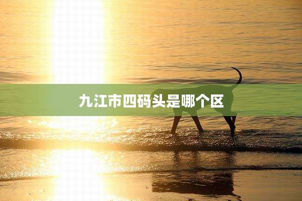 九江市四码头是哪个区