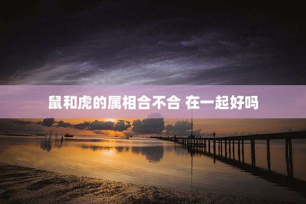 鼠和虎的属相合不合 在一起好吗