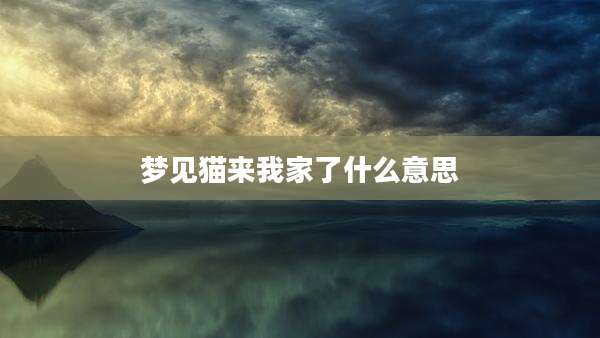 梦见猫来我家了什么意思