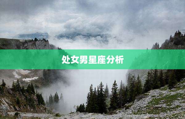 处女男星座分析