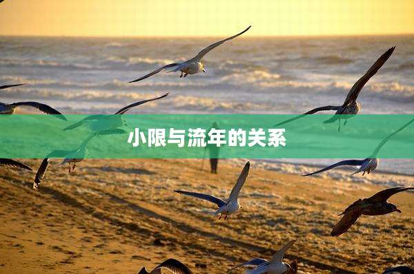 小限与流年的关系