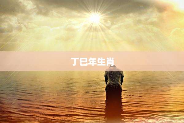 丁巳年生肖