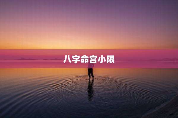 八字命宫小限