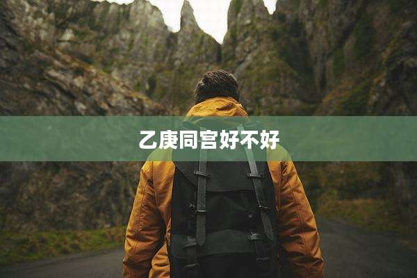 乙庚同宫好不好