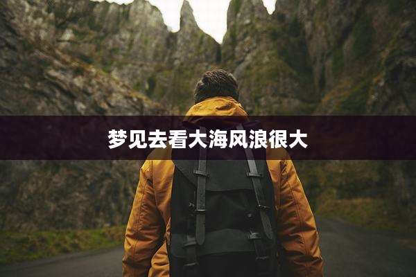 梦见去看大海风浪很大