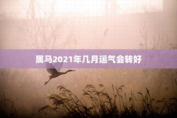 属马2021年几月运气会转好