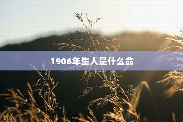 1906年生人是什么命