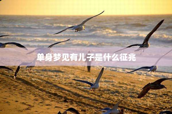 单身梦见有儿子是什么征兆