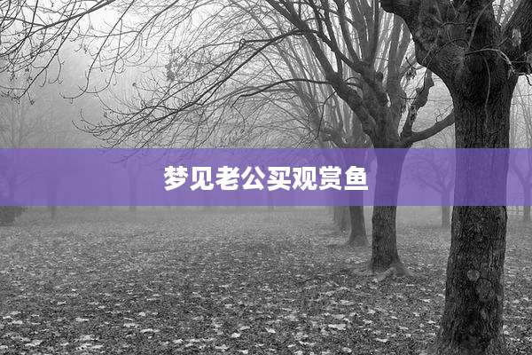 梦见老公买观赏鱼