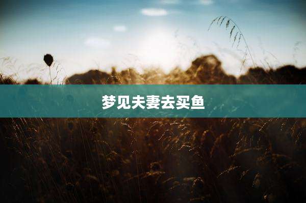 梦见夫妻去买鱼