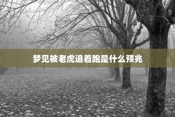 梦见被老虎追着跑是什么预兆