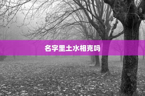 名字里土水相克吗
