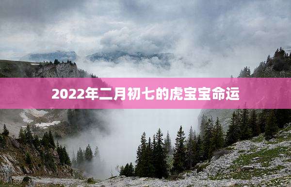 2022年二月初七的虎宝宝命运