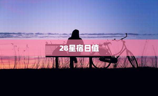 28星宿日值
