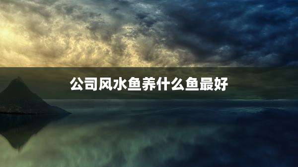 公司风水鱼养什么鱼最好
